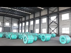 Stainless Steel Plate